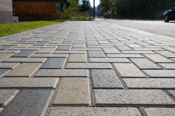 Best Affordable Driveway Pavers  in Montrose, MN