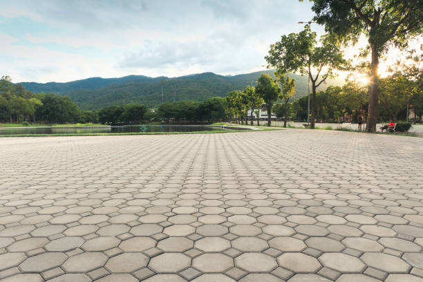 Best Residential Driveway Paver Services  in Montrose, MN