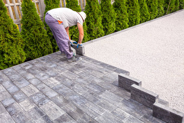 Best Driveway Paving Contractor  in Montrose, MN